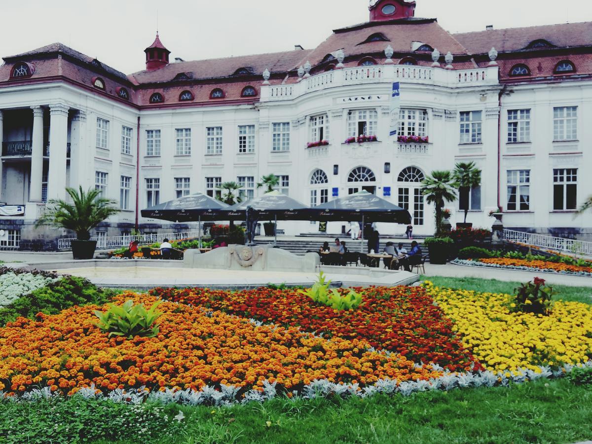 Apartment Alice Center Karlovy Vary Ngoại thất bức ảnh