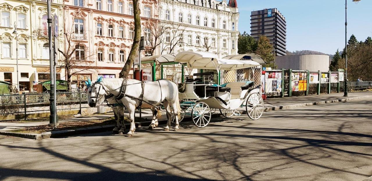 Apartment Alice Center Karlovy Vary Ngoại thất bức ảnh